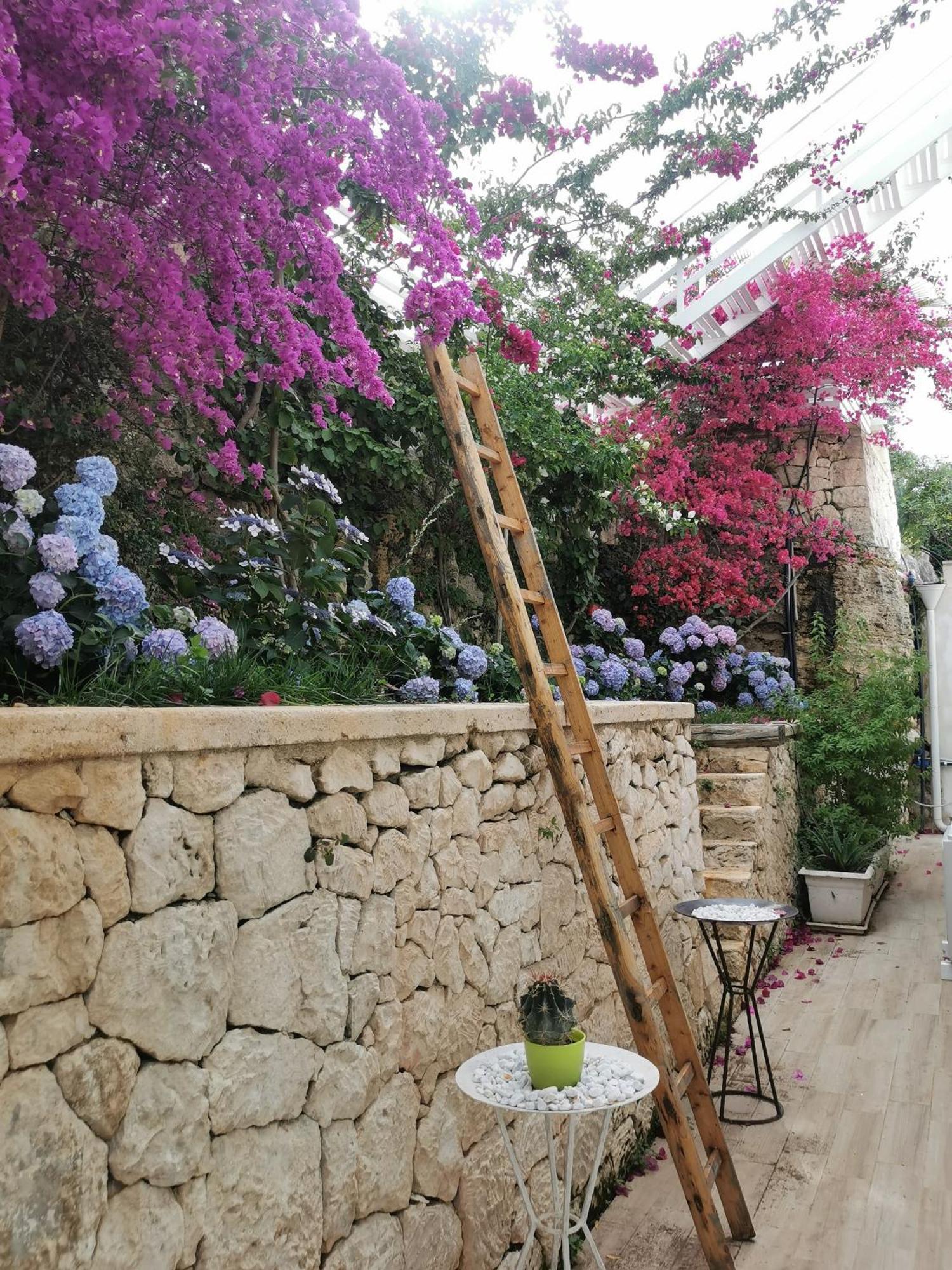 Vill'Aura Vieste Exterior foto
